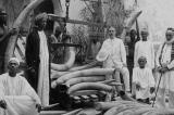 « Exterminez toutes ces brutes » : Raoul Peck retrace l’histoire de la conquête coloniale et du racisme
