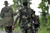 Nord-Kivu: la CPI appelée à poursuivre le M23 pour destruction du Parc des Virunga