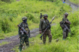 Guerre d'agression : l'ONU exige du M23 qu'il cesse immédiatement ses avancées et se retire des zones qu'il occupe dans l'est de la RDC