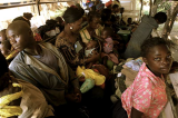 Rapatriement prochain des réfugiés congolais de la Zambie