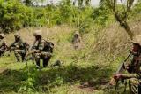 Déstabilisation de la RDC par des militaires rwandais basés en RCA : « Une fausse information de presse », selon l’ambassade congolaise à Bangui