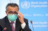 Quel ordre de marche pour l’OMS pour la prochaine pandémie ?
