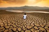 Environnement : changement climatique coûte cher aux pays africains, selon une étude de Power Shift Africa