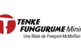 Tenke Fungurume Mining S.A. - Résultats du deuxième trimestre 2016