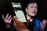 Que va devenir Twitter si Elon Musk met la main dessus ?
