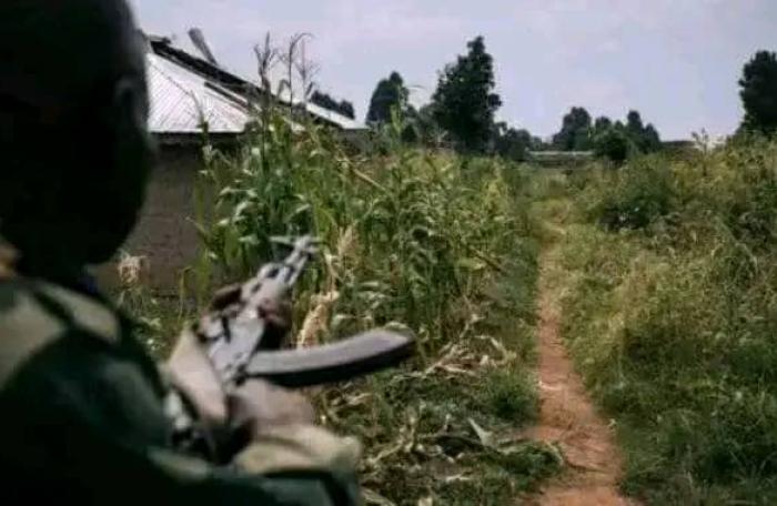 Info Congo - Actualité Congo -  - -Nord-Kivu : Un élément Muzalendo tire sur son chef qui meurt sur le champ à Masisi