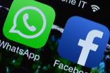 Nouvelles conditions de whatsapp: les utilisateurs fuient vers signal