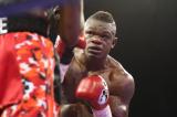 Boxe Championnat WBC : dans un combat des guerriers, Youri Kalenga tombe devant l'allemand Mikaelian