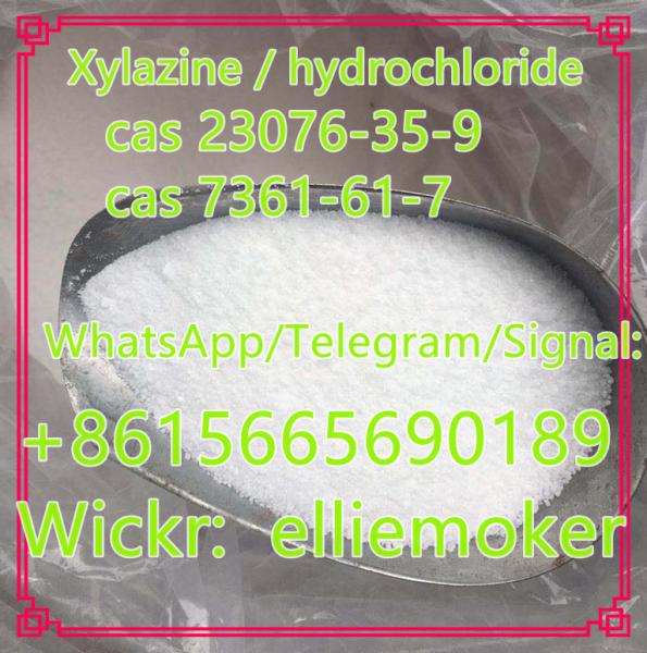 Buy XylazineXylazine Hydrochloride CAS 230763597361617