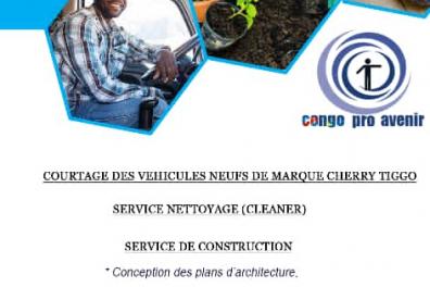 services_propositions_d_affaires Congo Avenir  