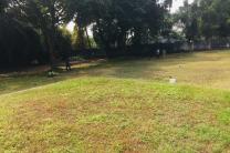Vente - terrain  immobilier_vente_location