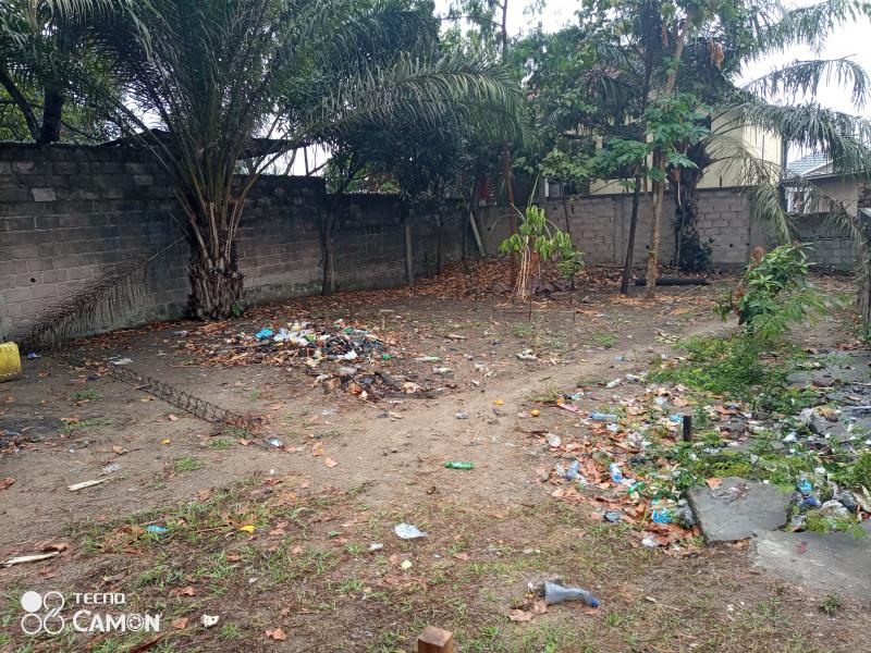Terrain  vendre  Binza pigeon 