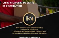 OFFRE D'EMPLOI/ CHARGE(E) DE VENTE ET DISTRIBUTION  mediacongo