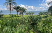 VENTE DE 4 HECTARES A MALUKU AU BORD DU FLEUVE (BRAZZAVILLE EN FACE) mediacongo