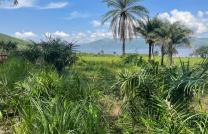 4 HECTARES AU BORD DU FLEUVE EN FACE DE BRAZZAVILLE (MALUKU) mediacongo