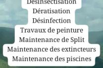 Service de nettoyage & Désinsectisation  immobilier_vente_location