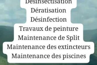 Service de nettoyage  Dsinsectisation 