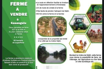 Ferme de 65 hectares de superficie  vendre  Kinshasa Kasangulu  YANDA 40 kilomtres avec Gombe au prix de 500.000  ngocier