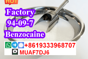 china factory supply Benzocaine powder cas94097 bulk price on sale 