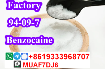 china factory supply Benzocaine powder cas94097 bulk price on sale 