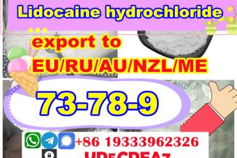 Lidocaine powdercrystal Lidocaine hydrochloride cas 73789 supplier Global Supply 