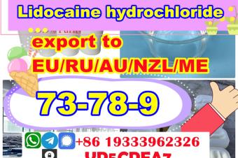 Lidocaine powdercrystal Lidocaine hydrochloride cas 73789 supplier Global Supply 
