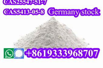 BMK Glycidic Acid powder sodium salt CAS 5449127