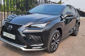 TOYOTA LEXUS NX300 2021 A VENDRE 