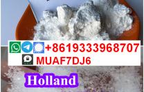 Holland hot sale Procaine Base CAS59-46-1 Germany pick up  mediacongo