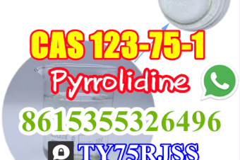 Pyrrolidine CAS 123751 High Quality WhatsApp 8615355326496