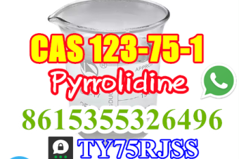 Pyrrolidine CAS 123751 High Quality WhatsApp 8615355326496