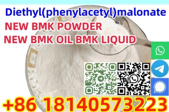 Buy Manufacturer High Quality New Pmk Oil CAS 20320596 with Safe Delivery