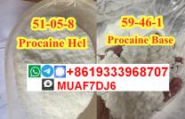 CAS59–46–1,Procaine base,Procaine powder, Novacaine ,Procaine hydrochloride ,CAS51-05-8 ,Procaine factory mediacongo