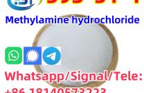 CAS 593-51-1 Methylamine hydrochloride LT-S9151 good price with high qualtiy mediacongo