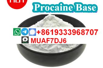 procaine CAS59461 procaine Base Export to holland