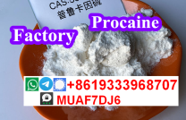 CAS59-46-1 ,Procaine Base ,Procaine Powder  mediacongo