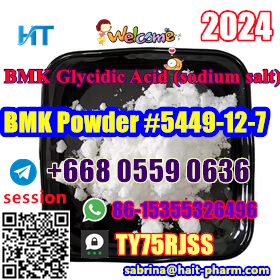 China Factory Supply BMK Glycidic Acid sodium salt 5449127 8615355326496