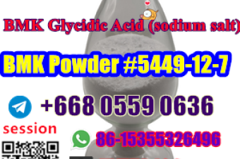 China Factory Supply BMK Glycidic Acid sodium salt 5449127 8615355326496