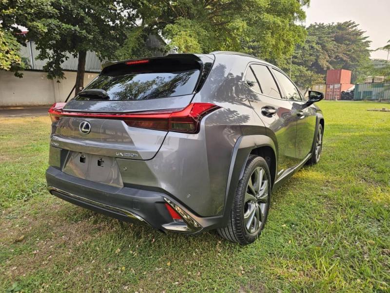 LEXUS UX250h