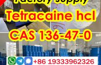 CAS 136-47-0 powder Tetracaine hydrochloride supplier Factory Price Door to Door mediacongo