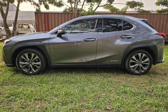 LEXUS UX250h