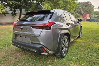 LEXUS UX250h