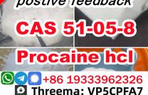 cas 51-05-8 Procaine Hcl Procaine Hydrochloride powder provide Sample mediacongo