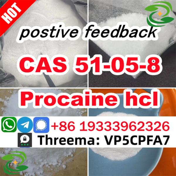 Procaine hydrochloride powder CAS 51058 Procaine hydrochloride price