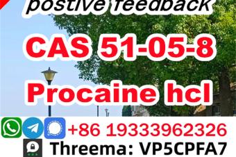 Procaine hydrochloride powder CAS 51058 Procaine hydrochloride price