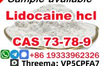 Safe Delivery Lidocaine powder CAS 73-78-9 Lidocaine Base provide Sample mediacongo