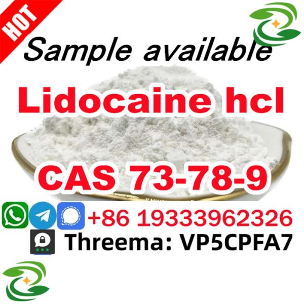 Safe Delivery Lidocaine powder CAS 73789 Lidocaine Base provide Sample