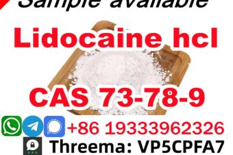 Safe Delivery Lidocaine powder CAS 73789 Lidocaine Base provide Sample