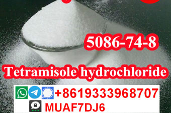 Tetramisole hydrochloride CAS5086748 for sale 