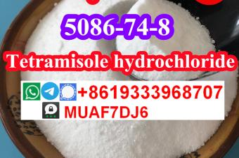 Tetramisole hydrochloride CAS5086748 for sale 